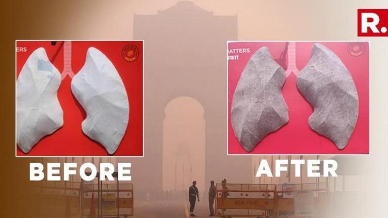 SHOCKING: Here's how long Delhi's 'artificial lung' took to turn from white to black under prevailing air pollution