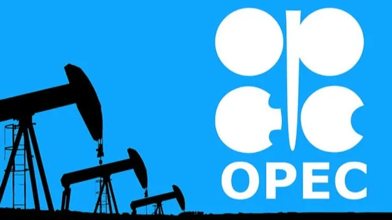 Angola Exits OPEC Amidst Quota Disagreement, Paving the Way for Chinese Investment