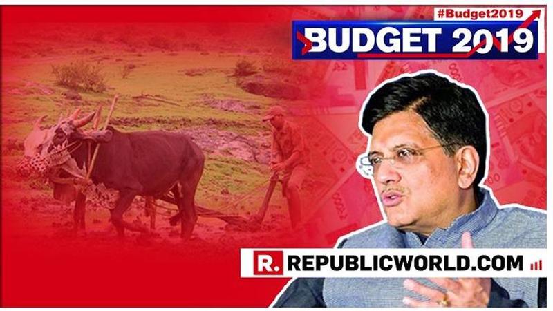 Union Budget 2019: 'Most decisive, stable and clean government: Union Minister Piyush Goyal gives India's growth report during his Budget speech