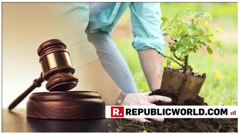 Delhi HC orders 2G accused to plant 3,000 trees for failure to file replies in ED appeal