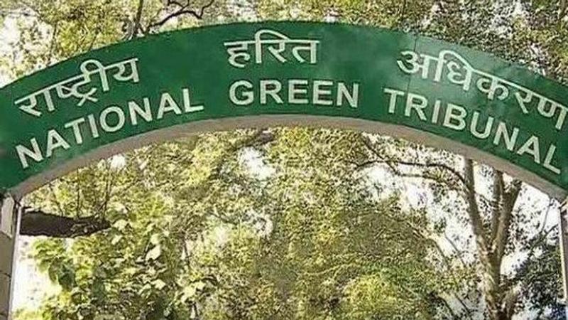 National Green tribunal asks poll panel, government to consider banning campaign material made of plastic