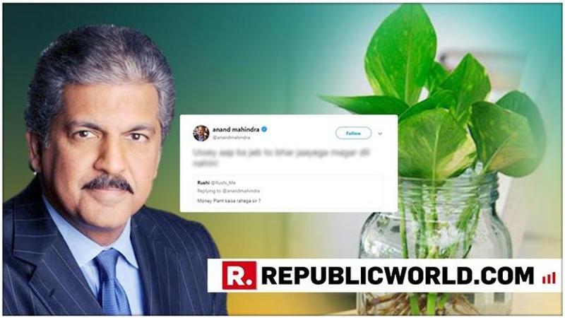 'Jeb to bhar jayegi dil nahi!' Anand Mahindra witty reply to a man asking "money plant kaisa rahega sir?". Here's what happened