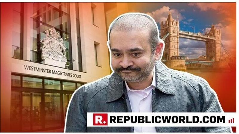 Nirav Modi uses his 'pet dog' to win bail. Read his defence team's full court argument