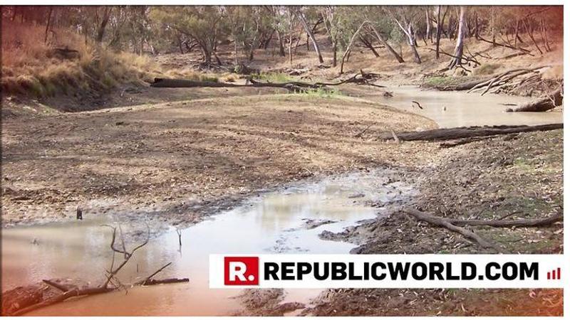 Centre issues drought advisory to 6 states as water level in dams dips