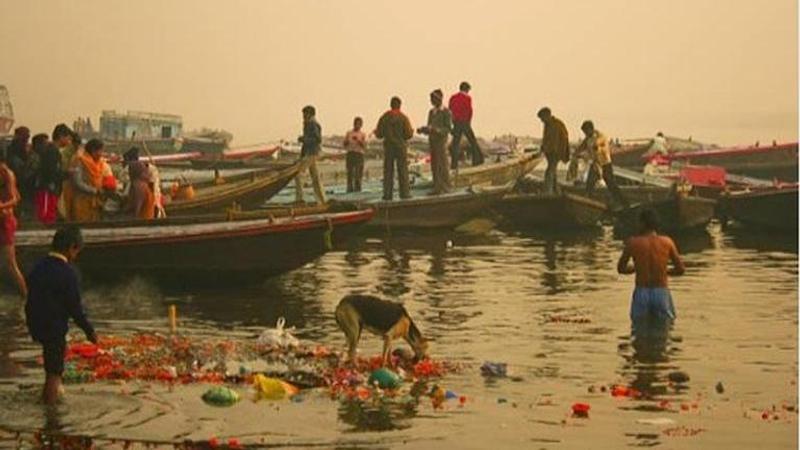 Ganga river's faecal coliform bacteria level found 3 to 12 times higher than the permissible: Top pollution watchdog