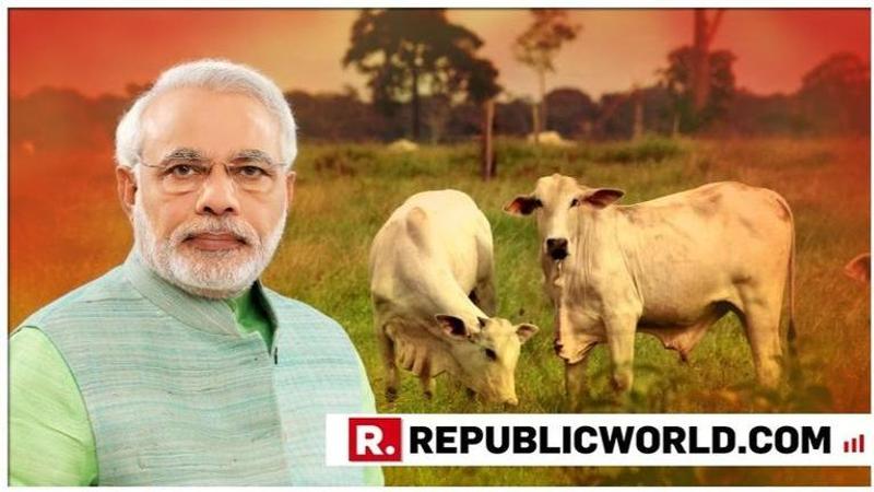 At First Meeting Of Modi Cabinet 2.0, special scheme towards Livestock vaccination cleared