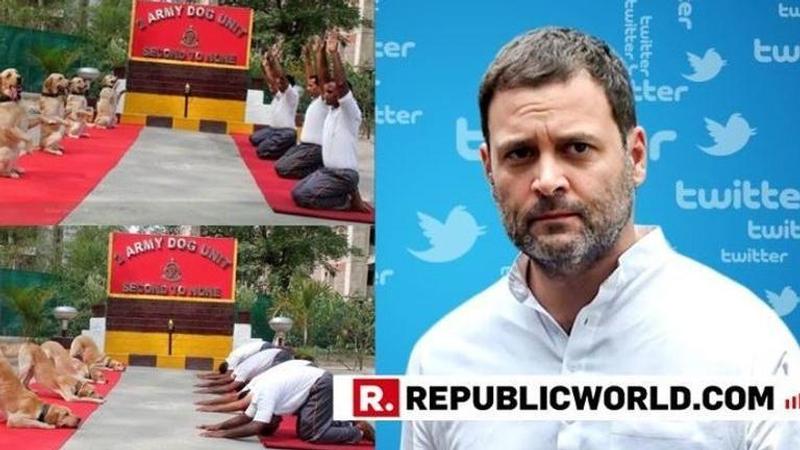 Rahul Gandhi's distasteful tweet taking a sarcastic jibe at Security Forces and the Dog Army Unit draws sharp reactions from netizens. Read here