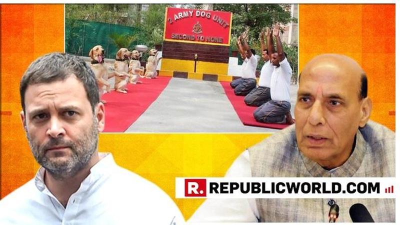 Defence Minister Rajnath Singh takes on Rahul Gandhi over his mockery on armed forces celebrating International Yoga Day. Here's what he said