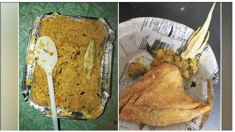 Man's fraud alleging 'lizard in railway' meal busted, modus operandi revealed. Read full story