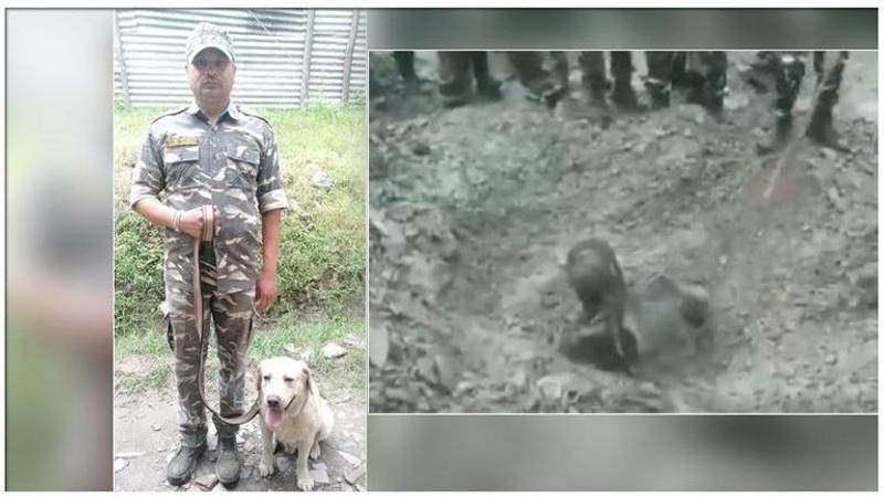 CRPF dog saves life of a man trapped in a landslide in Jammu & Kashmir, watch the rescue