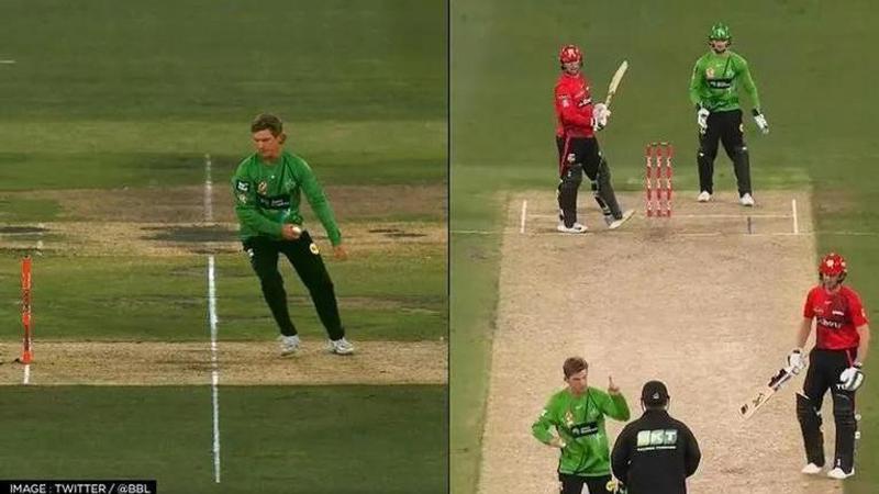 MCC, Adam Zampa, BBL, Melbourne Stars vs Melbourne Renegades, adam zampa run out, adam zampa mankad, adam zampa tom rogers, mcc on adam zampa