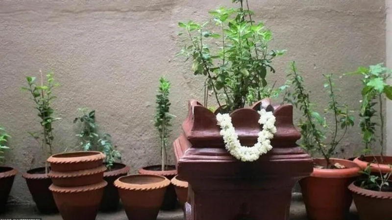 Tulsi Puja