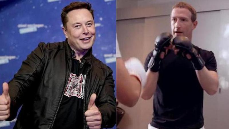 Elon Musk teams up with UFC legend to prepare for Mark Zuckerberg cage fight