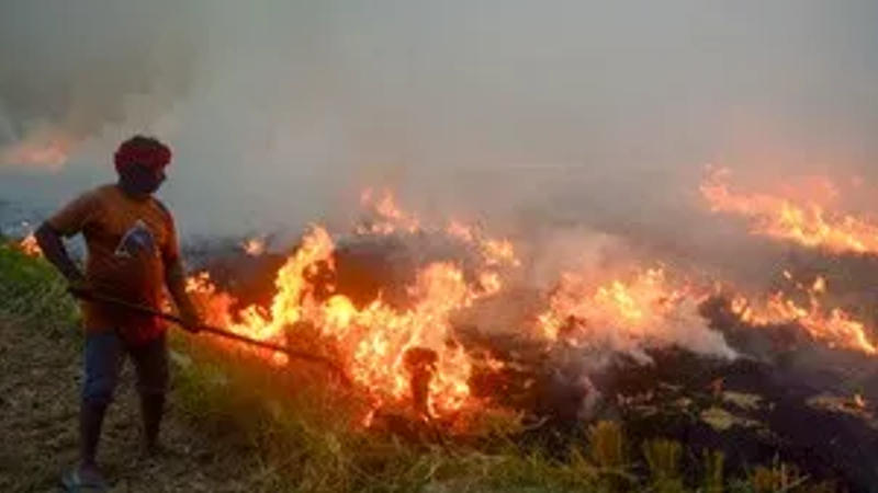 Punjab sees drop in stubble burning to 639 incidents post Supreme Court orders, enhancing air quality.