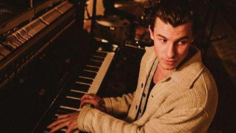 Shawn Mendes; In Wonder: Netflix to release documentary featuring singer's journey