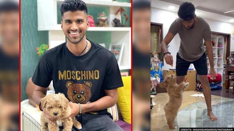 Washington Sundar makes 'Gabba' dance to his tunes after returning home from IPL | Watch