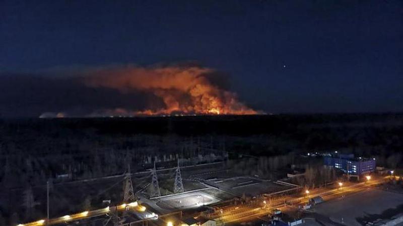 Forest fire at Chernobyl put out after 10 days