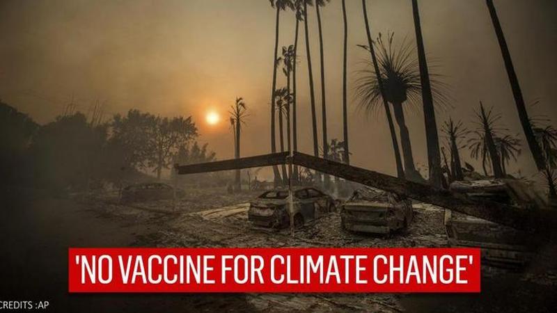 Climate change bigger threat than COVID-19, Red cross says asking 'urgent action'