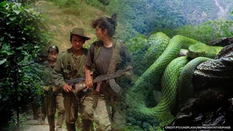 FARC Darien Gap Colombia