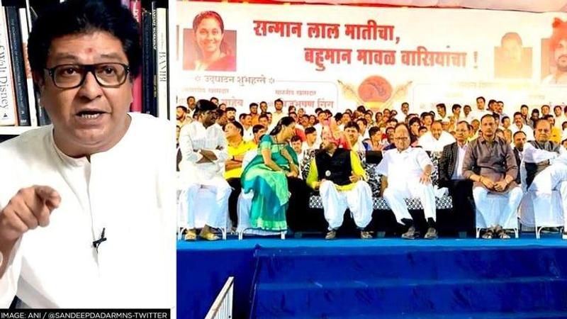 MNS leader tweets pic of Sharad Pawar with BJP MP, suggests alliance against Raj Thackeray