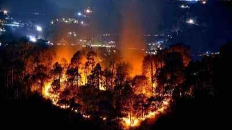 Fire engulfs forest area in Shimla