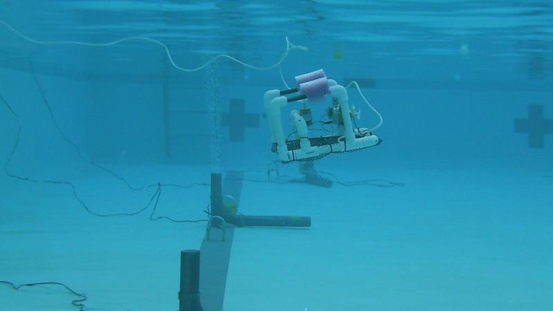 Marine Robot