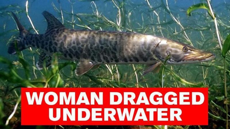 Canadian woman attacked by muskellunge fish, sustains injuries