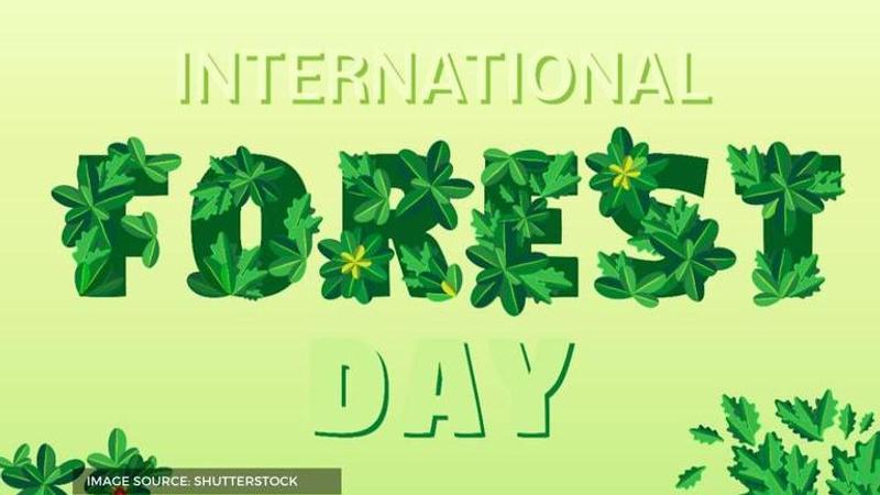 when is world forest day celebrated