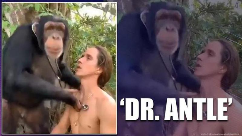 Video of Chimpanzee impersonating a doctor leaves netizens amused