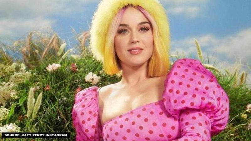 Katy Perry shares an emotional post on Instagram as her furry pet passes away