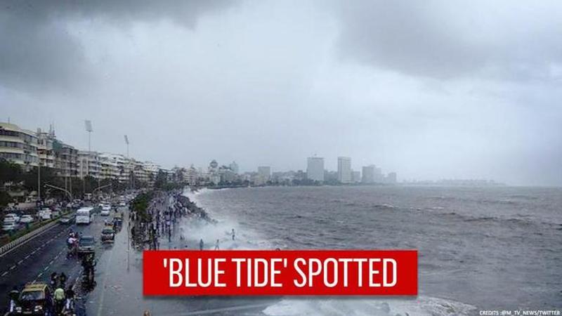 Blue tide