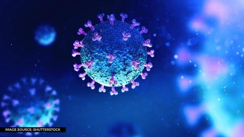 coronavirus hotspot districts in kerala