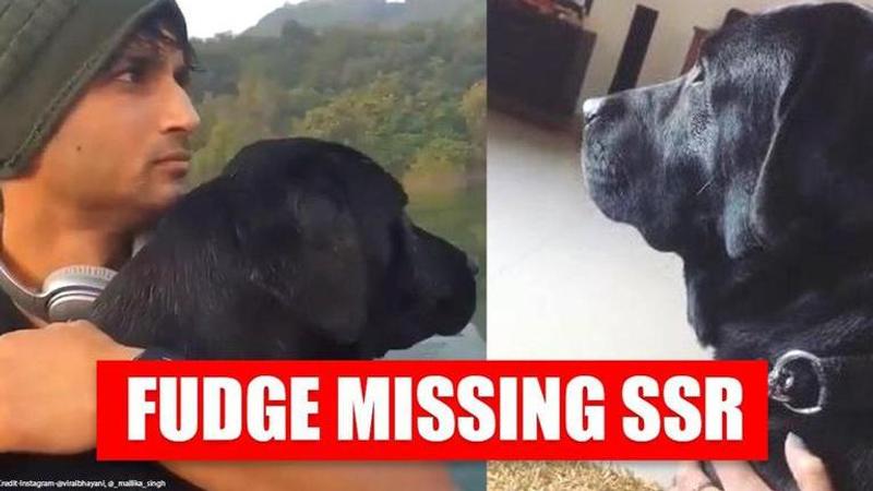 Sushant Singh Rajput's dog Fudge missing late actor, niece's post will make you emotional