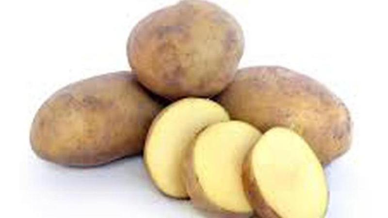 potato