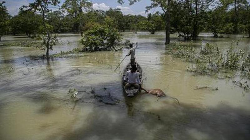 Heavy rains trigger deadly floods in Bangladesh