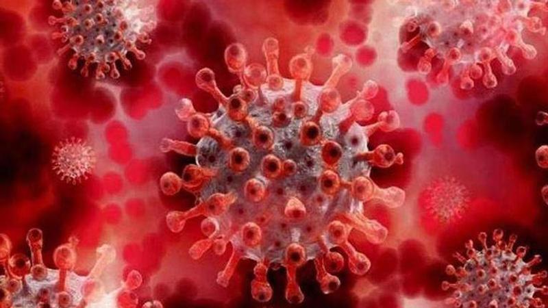 How does the coronavirus affect the heart?