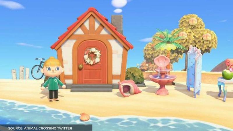 how to get mussels in animal crossing