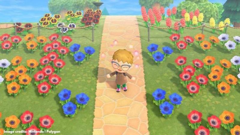 Animal Crossing flower guide