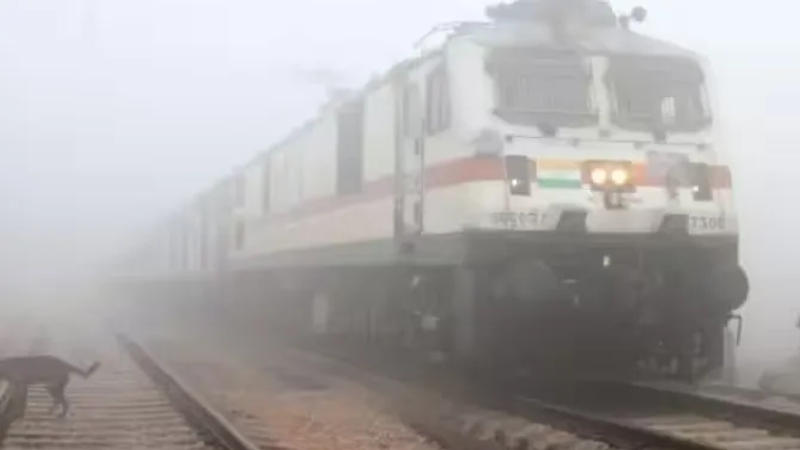 18 Trains to Delhi Running Late Due to Dense Fog | Full List 