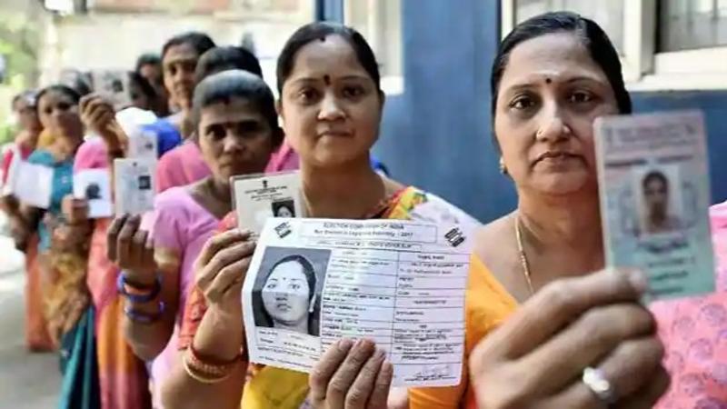 Lost Your Voter ID Card? No Worries, Here's How to Get a Duplicate Online