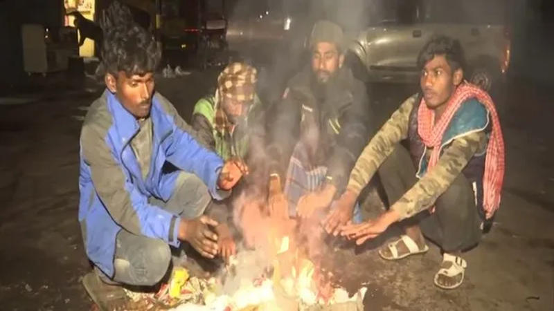 Weather Update: Severe cold grips North India