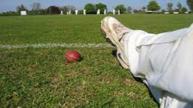 Mumbai Cricketer Dies After Being Struck by Ball From Another Match In Matunga
