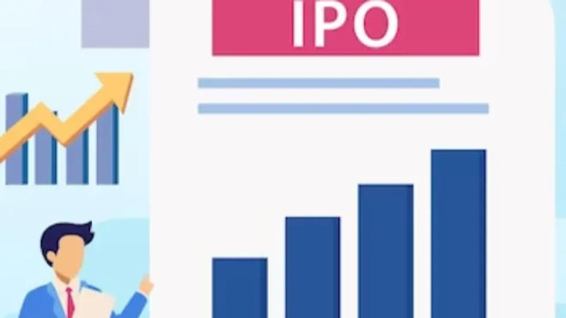 Record-Breaking IPOs: A Defining Moment for Indian Startups in 2024