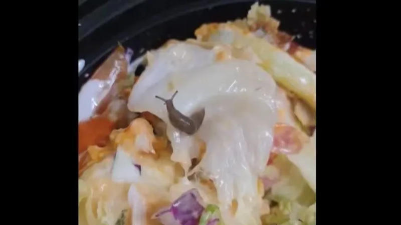 Viral image shows a snail in a bowl of salad.