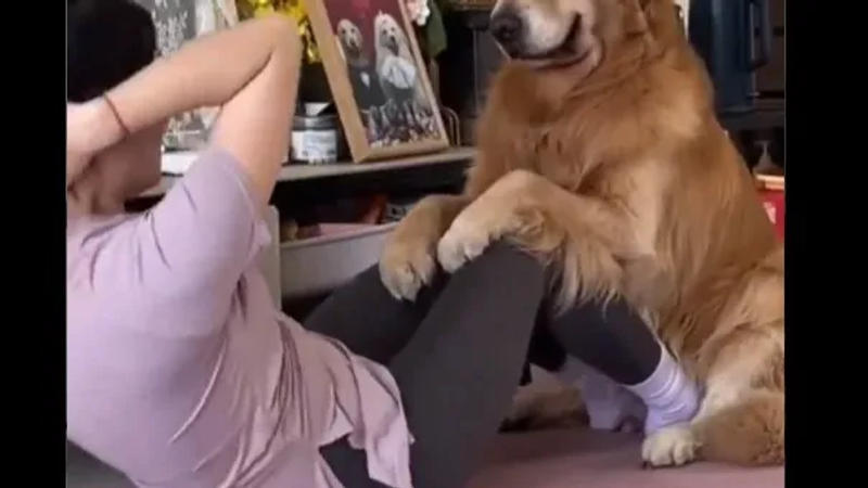 Women practicing Yoga with pet at home, goes viral