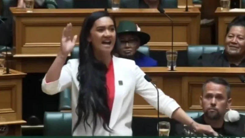 New Zealand's youngest MP Hana Rawhiti Maipi Clarke's powerful speech goes viral