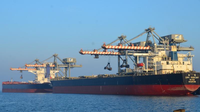 Adani Ports cargo volumes in January 2024
