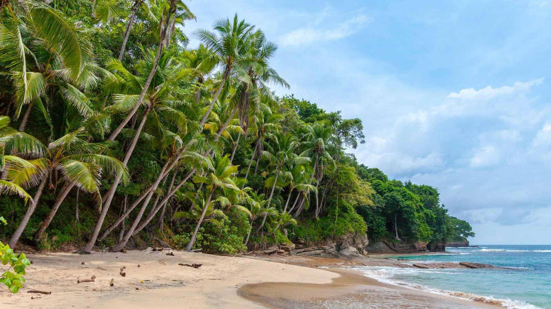 Hidden beaches of India