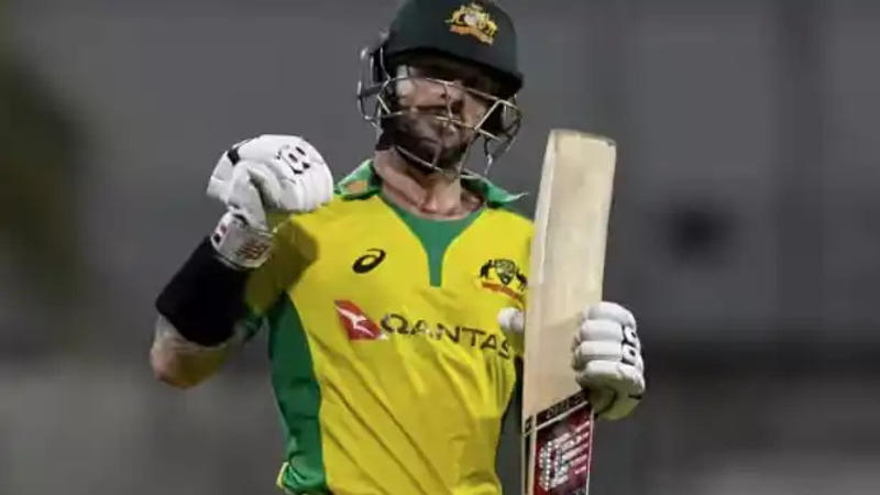 Matthew Wade reacts after scoring half-century