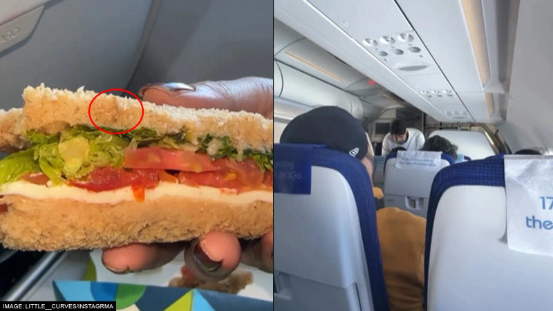Worm In Onboard Sandwich: Health Ministry Issues Show Cause Notice to IndiGo